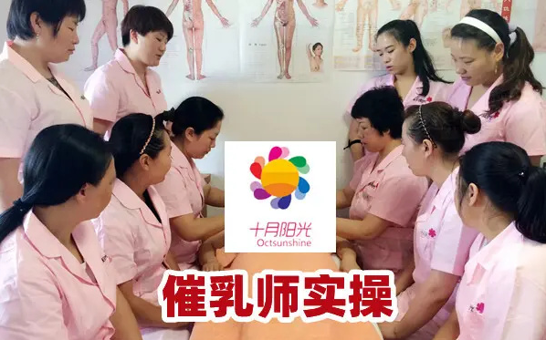 學(xué)催乳師的培訓費是多少？